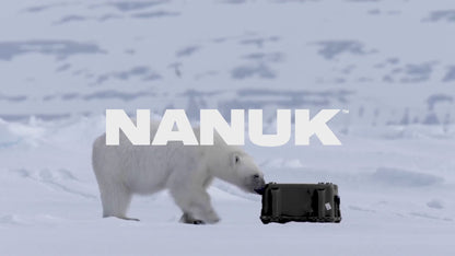 Nanuk 909 R-Serie